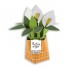 POP-UP Card > Paper Plants (3)